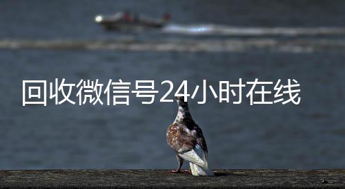 回收微信号24小时在回收微信号官网线秒结（回收微信号24小时交易平台）